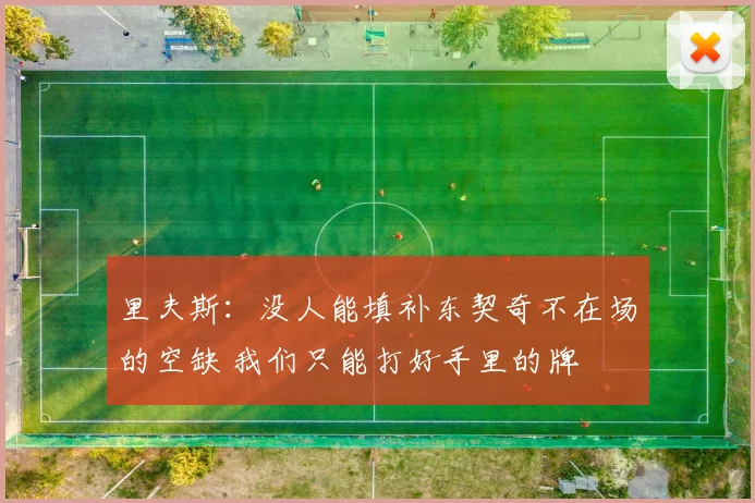 里夫斯：没人能填补东契奇不在场的空缺 我们只能打好手里的牌